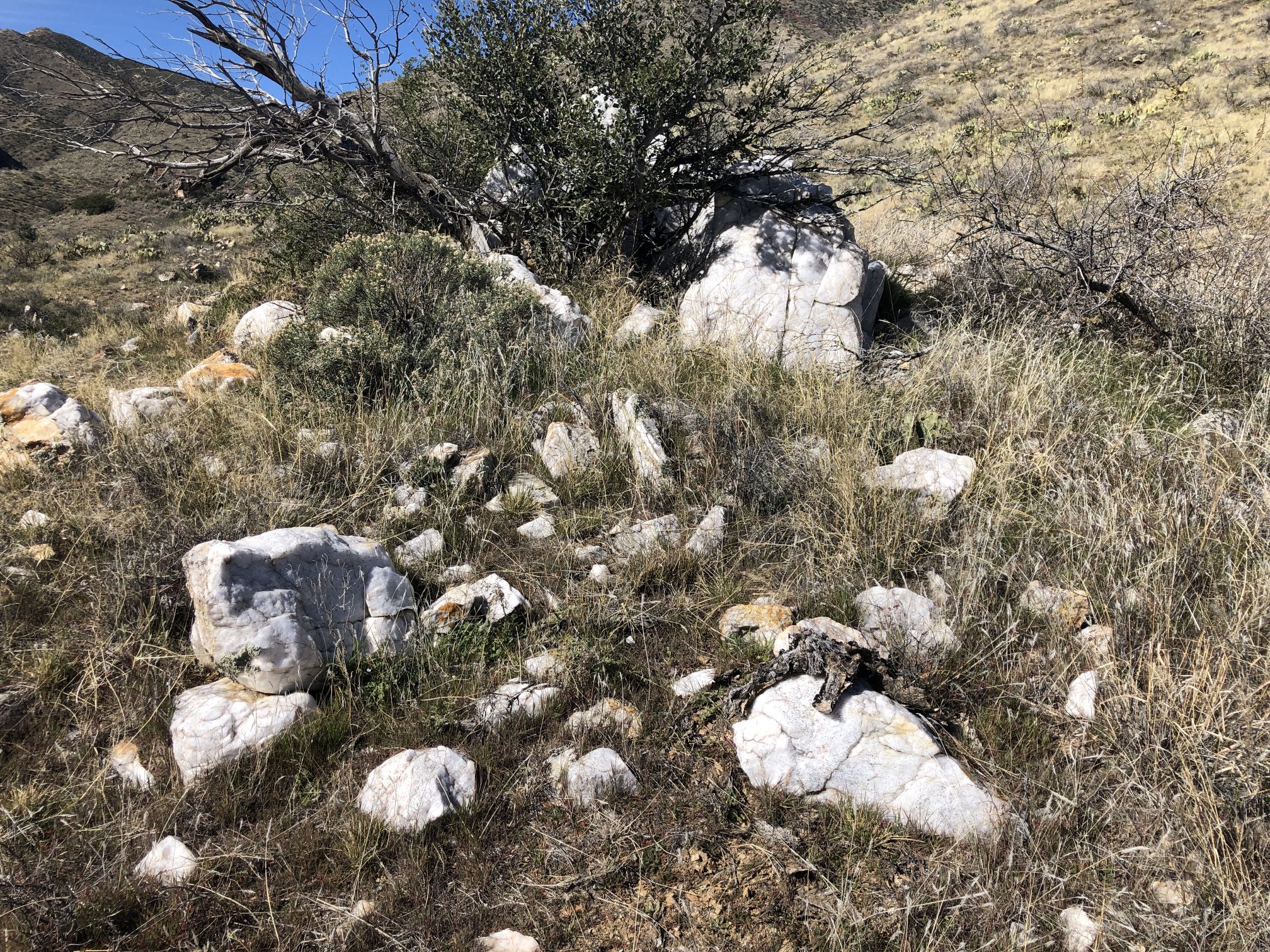 Gallery - Quartz Boulders